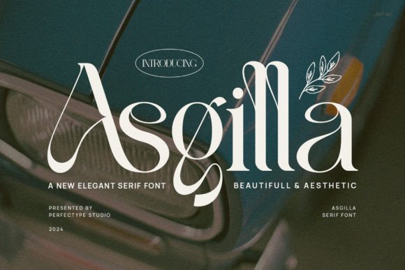 Asgilla: A Modern Serif Typeface for Campaigns