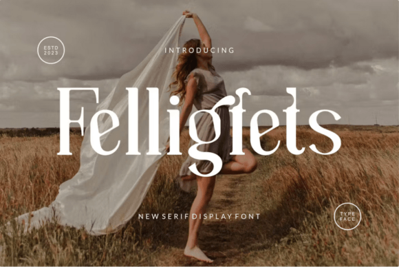 Felligfets: The Elegant Serif Font for Marketers