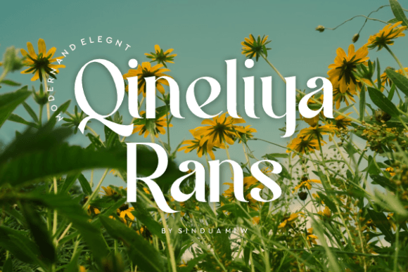 Qineliya Rans: A Premium Serif Font for Brands